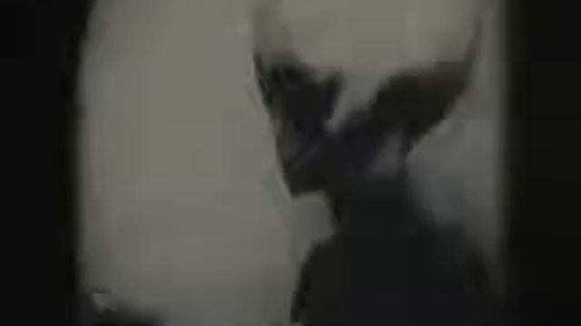 Секретное видео Серых инопланетян смотреть онлайн