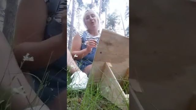 Новости бора. Серебряный бор встречает гостей! смотреть онлайн