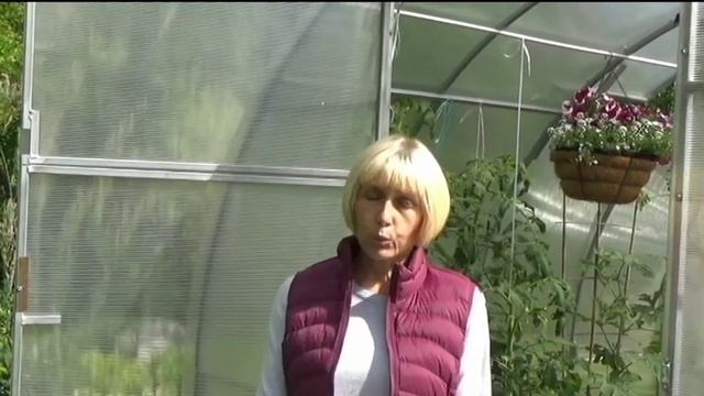 Теплица. Выбор и обустройство смотреть онлайн