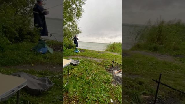 улов так себе #fishing #рыбалка