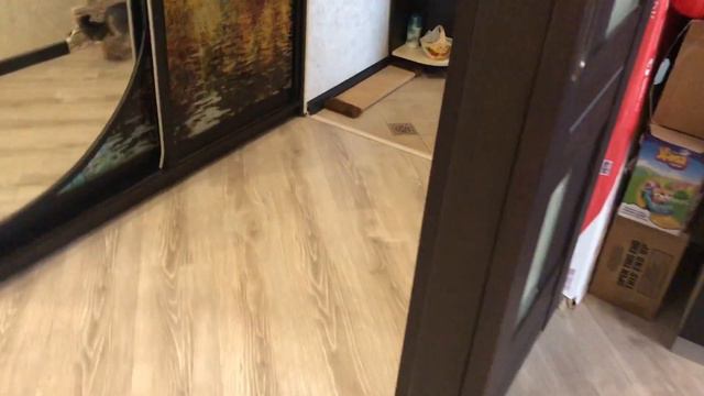 🐶«ЙОРКШИРСКИЙ ТЕРЬЕР АЙСИ ВСТРЕЧАЕТ ДОМОЧАДЦЕВ»🐶/Смешные животные/ Собака в доме. смотреть онлайн