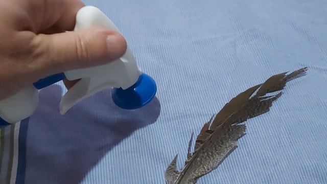 Пухопероеды у птиц ??? как и чем с ними бороться ??? смотреть онлайн