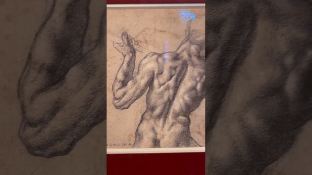 Альбертина Вена Albertina Vienna смотреть онлайн