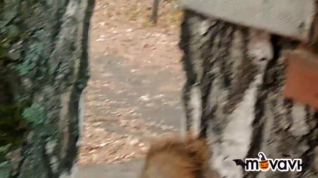 Кручусь, верчусь, как белка в колесе... смотреть онлайн