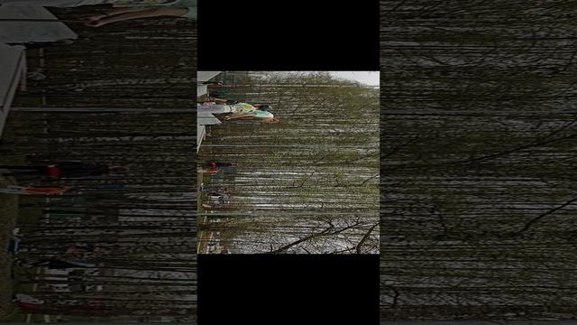 я выучил фибл! смотреть онлайн