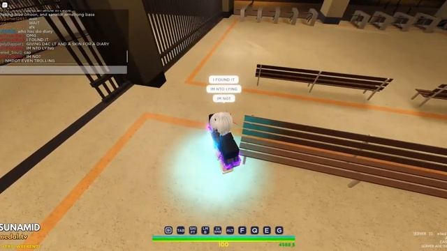 Finding Dio Diary In RIU