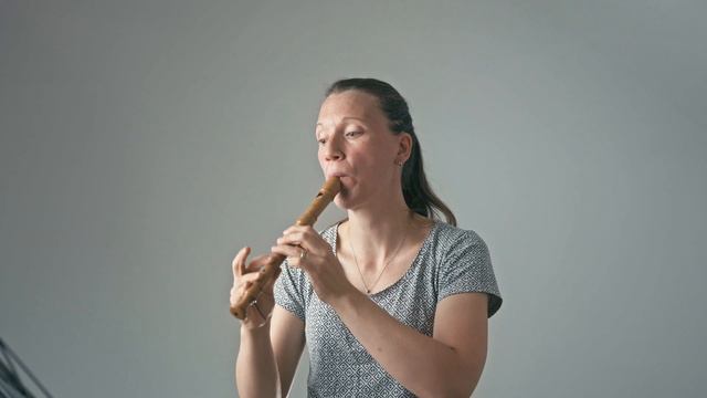 Sightreading through the recorder section on toplayalong.com смотреть онлайн