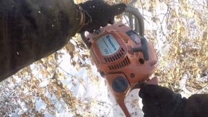 заготовка дров зимой! валежник