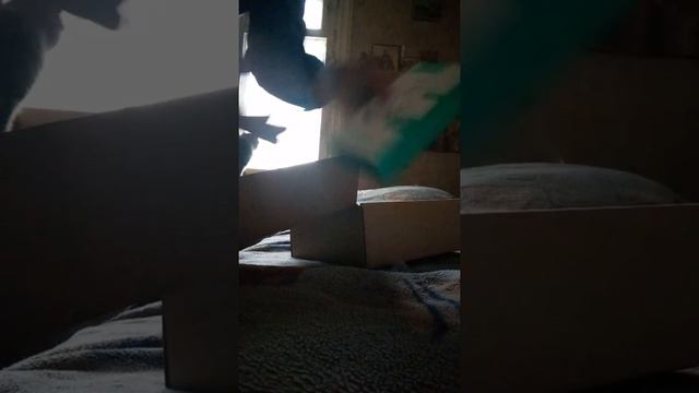 Сюрприз бокс за 500 рублей смотреть онлайн