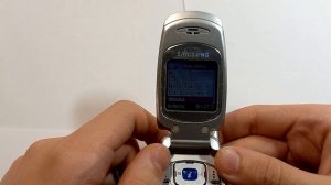 Samsung SGH-E600 Original ringtones + custom