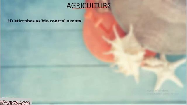 What are Micro Organisms? - Explained in Tamil | UPSC, TNPSC,SSC смотреть онлайн