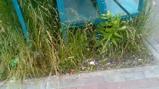 А воз и ныне там на футбольном поле в "Севернои Бутово". смотреть онлайн