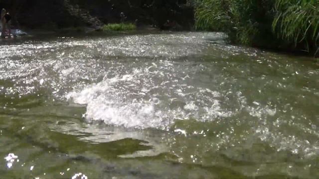 Зуевский ландшафтный парк как оазис Донбасса смотреть онлайн