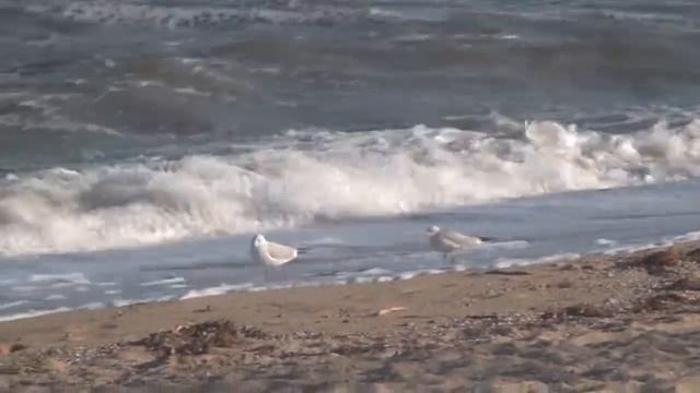 Наполняемся любовью и дарим любовь. Канал Медитация Релаксация. Стешенко А. Ю. смотреть онлайн