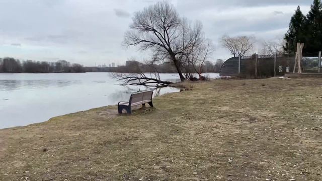 СЕРЕБРЯНЫЙ БОР. В МОСКВА-РЕКЕ ЗАМЕЧЕНА АКУЛА смотреть онлайн