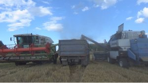 Уборочная На Комбайнах Енисей-950 И Клаас Мега 360.Потеряли Цепь На Комбайне,Ищем Металлоискателем.