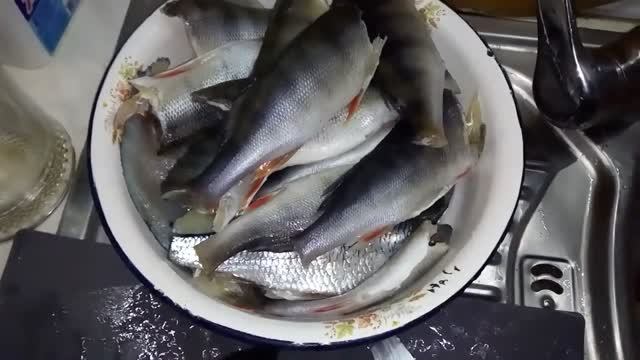 Как сохранить зосоленную рыбу с рыбалки , и завялить в домашних условиях без запаха и грязи. смотреть онлайн