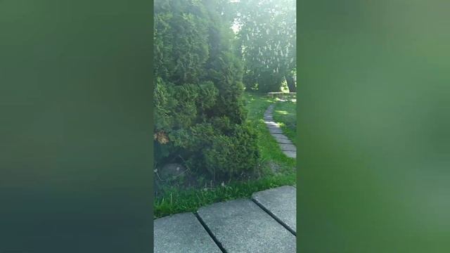 Латвия. Пилтене/ Latvia. Piltene #latvija #latvia #латвия #природа #piltene