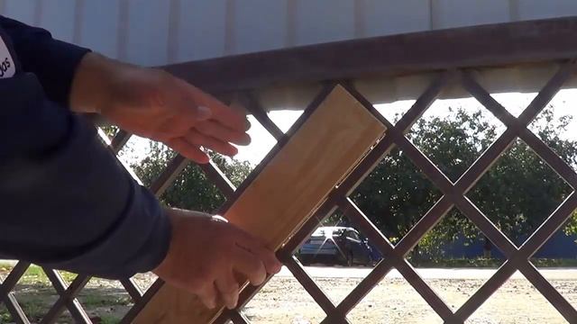 Рецепты для особых гостей 