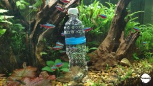 Ловушка для креветок