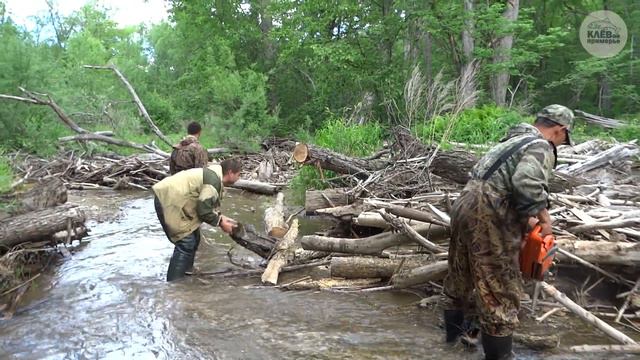 Сплав по реке Иман (Большая Уссурка) день второй. смотреть онлайн