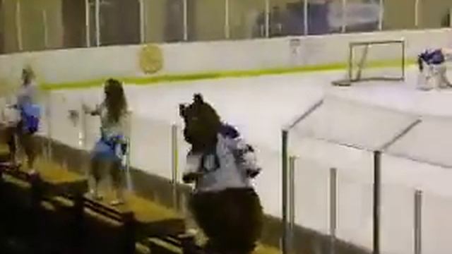 Танец медведя на матче хк Витебск - хк Лида смотреть онлайн