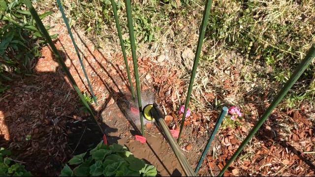 Dernières installations et plantations au jardin | Garden vlog #20 | Le petit jardin de Bob смотреть онлайн