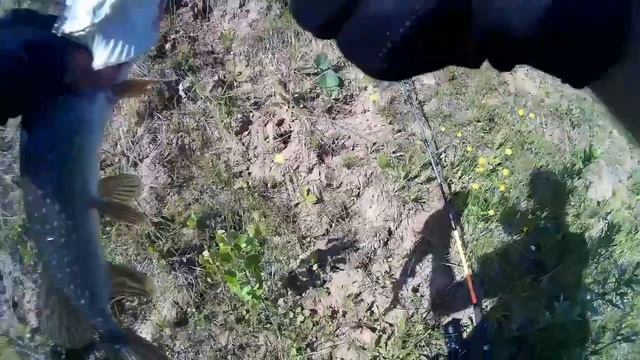 Отличная копия ZipBaits Khamsin с AliExpress смотреть онлайн