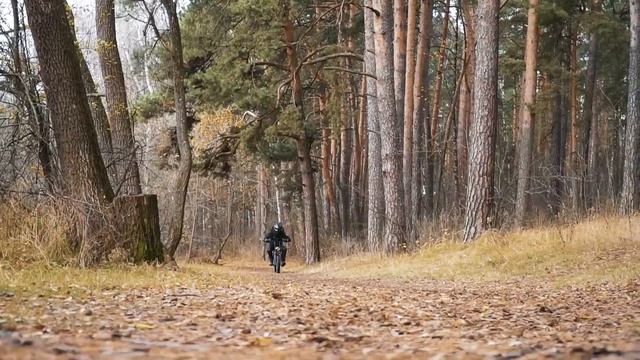 Вот он электрофэтбайк мечты! Пикник 2х2! Made in Moscow! смотреть онлайн