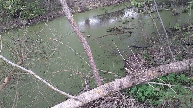 "Другая моя сторона")))) смотреть онлайн