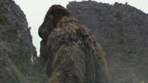 King Kong(2005) VS Kong(2017)