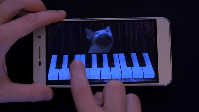 POP CAT piano APP / Kraken Theme смотреть онлайн