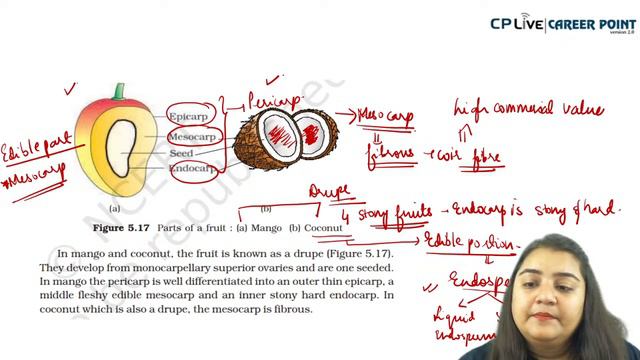 Morphology of Flowering Plants Part - 5 | Decode NCERT | Biology | Avneet Ma'am | eCareerPoint-NEET смотреть онлайн