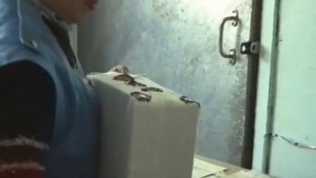 Дубна, почта, упаковка посылок, 1994 смотреть онлайн
