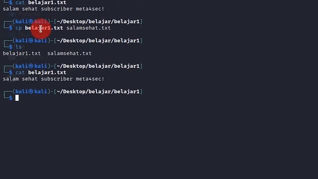 Perintah Dasar Kali Linux untuk Pemula | Penting untuk Pemula! смотреть онлайн