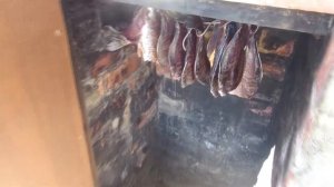 Копчение карася холодным способом.