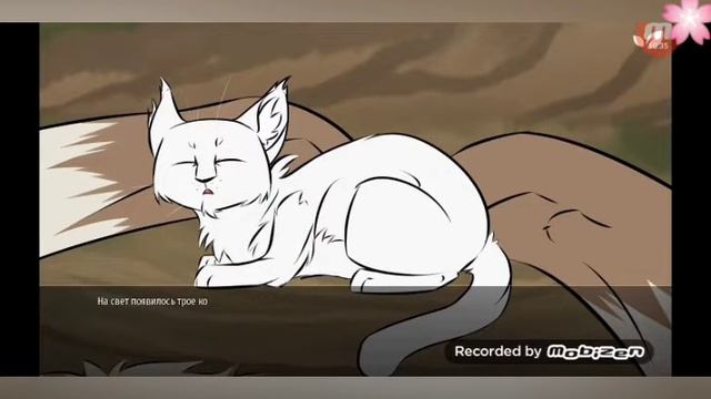 Коты-Воители послание звёздного Племени. Прохождение смотреть онлайн