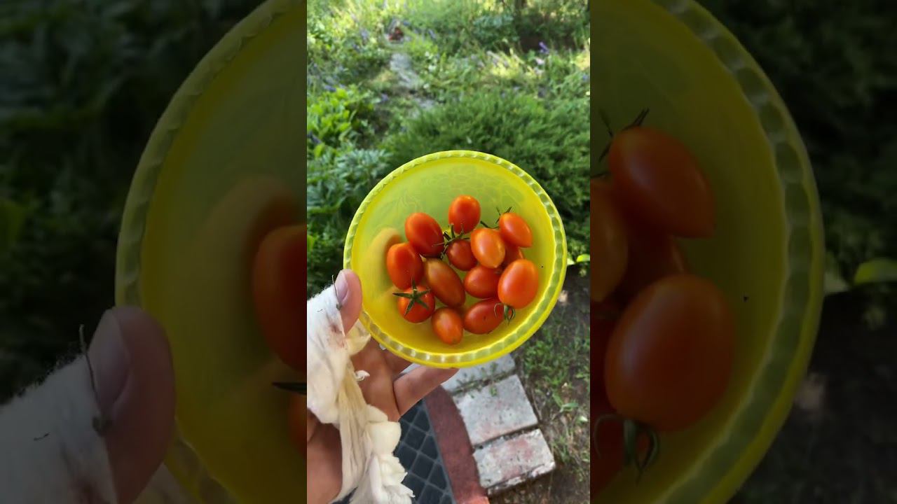 Первый полноценный выезд на дачу смотреть онлайн