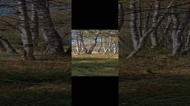 природа смотреть онлайн