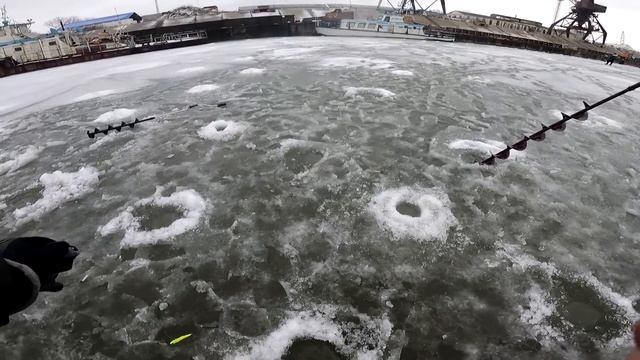 КАК ЛОВИТЬ НА ВИБЫ, ОСНАЩЕНИЕ УДОЧКИ ДЛЯ ЛОВЛИ СУДАКА, ЛОВЛЯ СУДАКА НА ВИБЫ В ДЕКАБРЕ 2022 смотреть онлайн