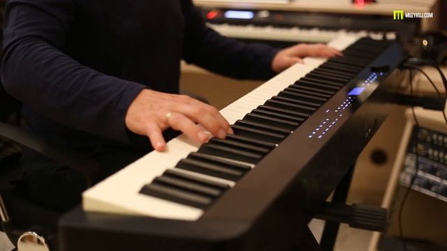 Casio PX-S3000 Piano Sounds Dariusz Górniok смотреть онлайн