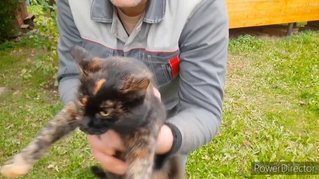 22. Жизнь на даче. Прочистка дымохода. смотреть онлайн