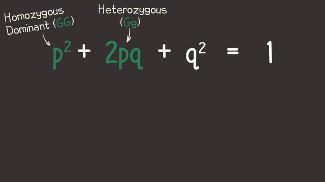 Hardy-Weinberg Equilibrium смотреть онлайн