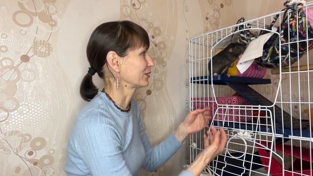 Доктор от Бога. Как мы сходили к ратологу с Татошей смотреть онлайн