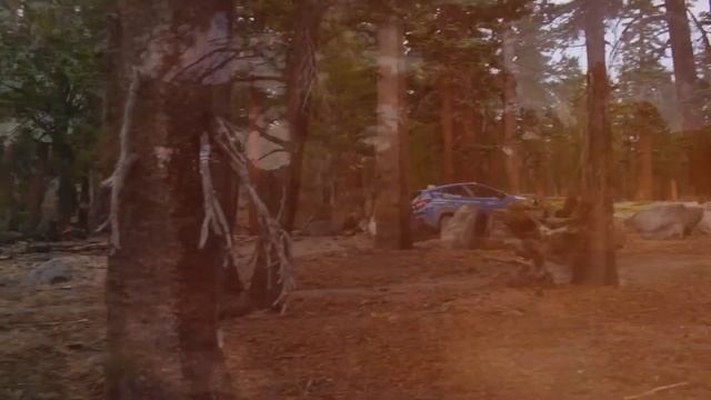 Subaru Crosstrek – самый дешевый внедорожник