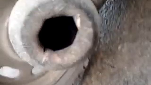 самодельный прямоток на китайский скутер смотреть онлайн