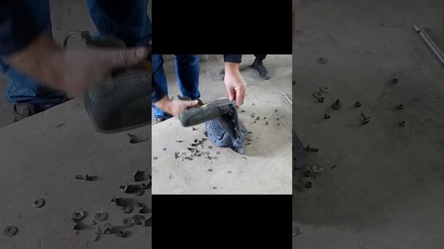 Скульптура уличного голубя из бетона своими руками смотреть онлайн