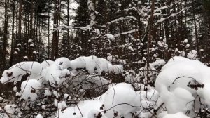 Жена втайне от мужа ушла на корпоратив, но он смог узнать адрес. Истории измен