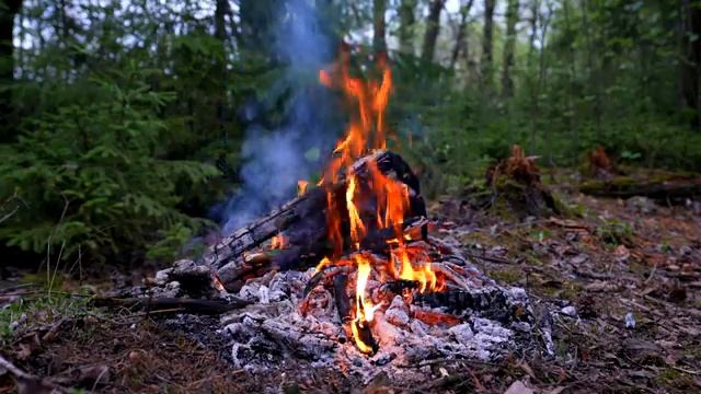 ? Cozy Campfire in the Forest (12 HOURS). Campfire with Crackling Fire Sounds. Campfire 4K смотреть онлайн