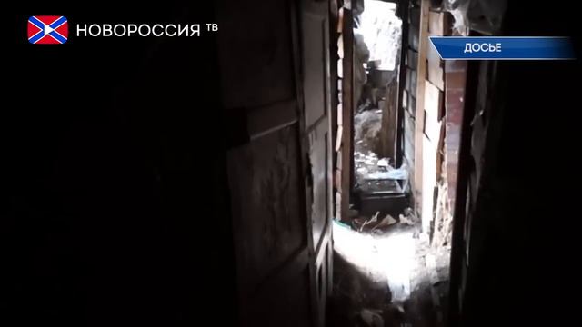 Сводка от Эдуарда Басурина 29 января 2017 года смотреть онлайн